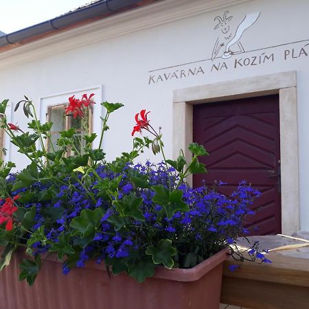 Cafe Kozi Placek Kutná Hora Buitenkant foto
